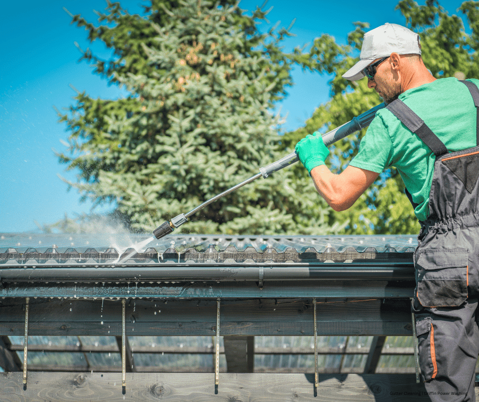 Fence Cleaning - Griffin Power Washing